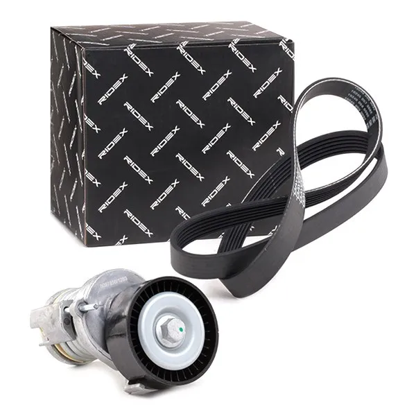 Drivremssats RIDEX 542R0134
