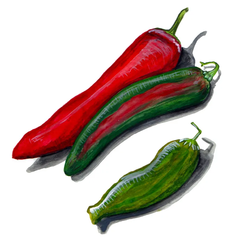 Chilipeppar Anaheim – Capsicum annuum Anaheim