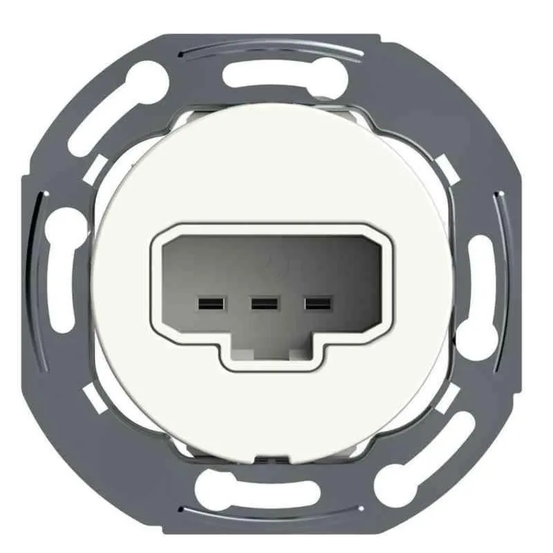 Schneider Electric Renova WDE005018 Lamputtag DCL, för väggmontage, infällt Vit