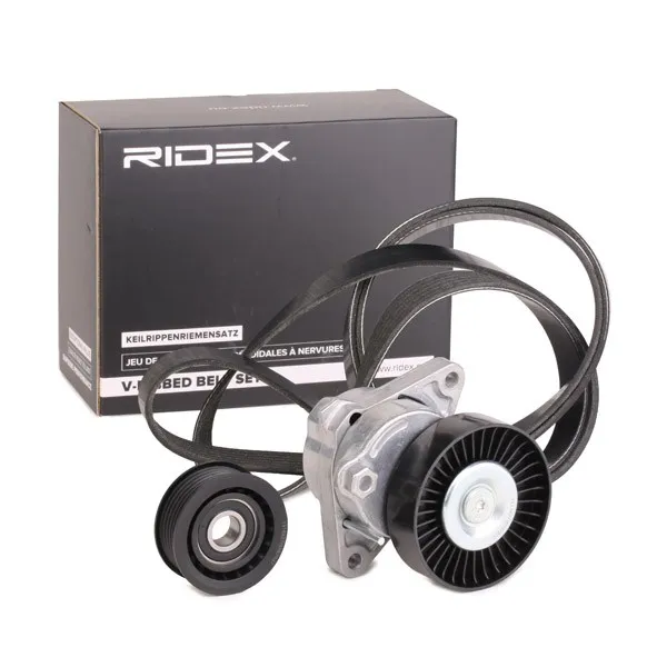 Drivremssats RIDEX 542R0252