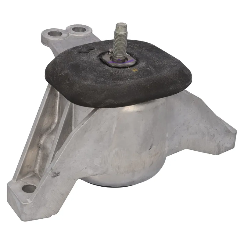Motorkudde FEBI BILSTEIN 196663