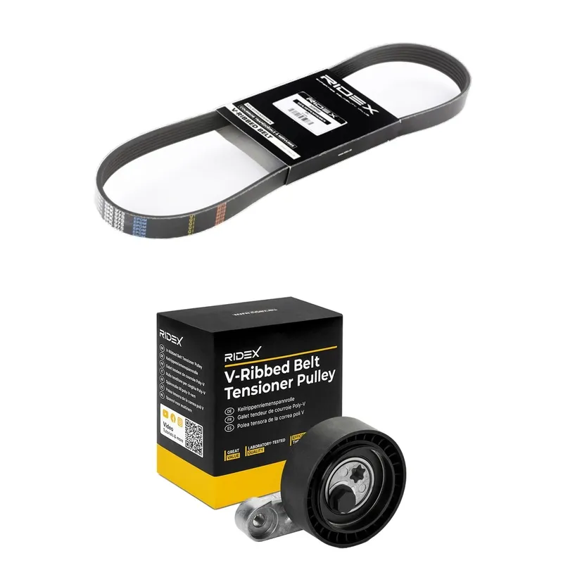 Drivremssats RIDEX 542R0848