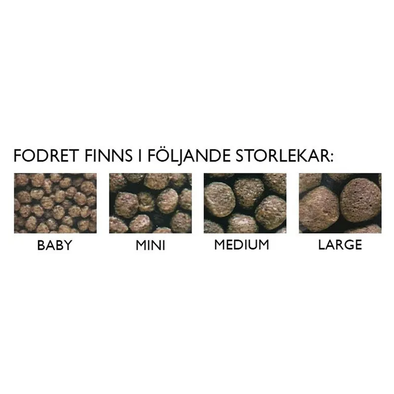 Ciklid Gold Färg Medium 250g