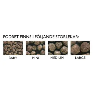 Ciklid Gold Färg Medium 250g