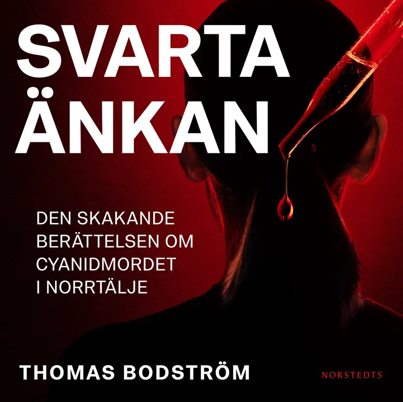 Ljudbok fakta