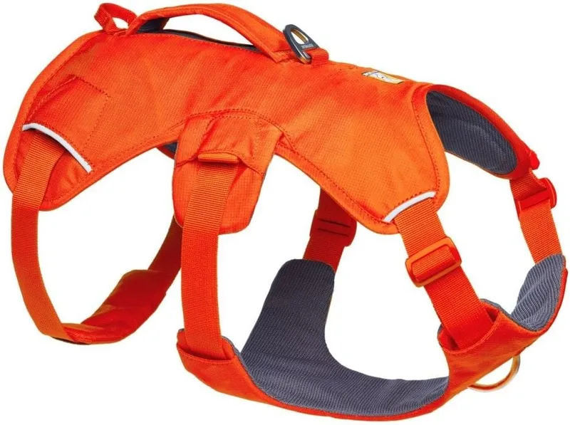 Ruffwear Web Master Dog Harness with Handle Blaze Orange