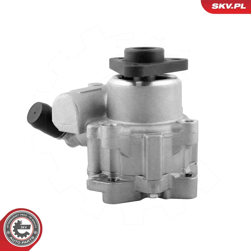 ESEN SKV 10SKV329 Servopump