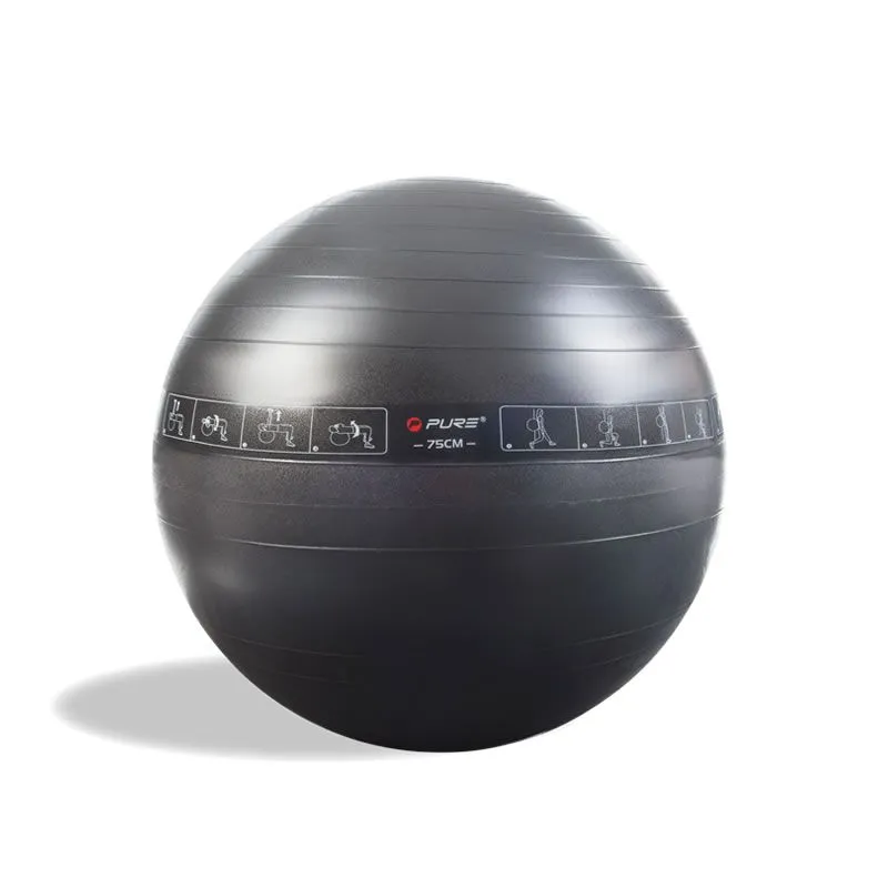 Pure2Improve Exercise Ball, Gymboll
