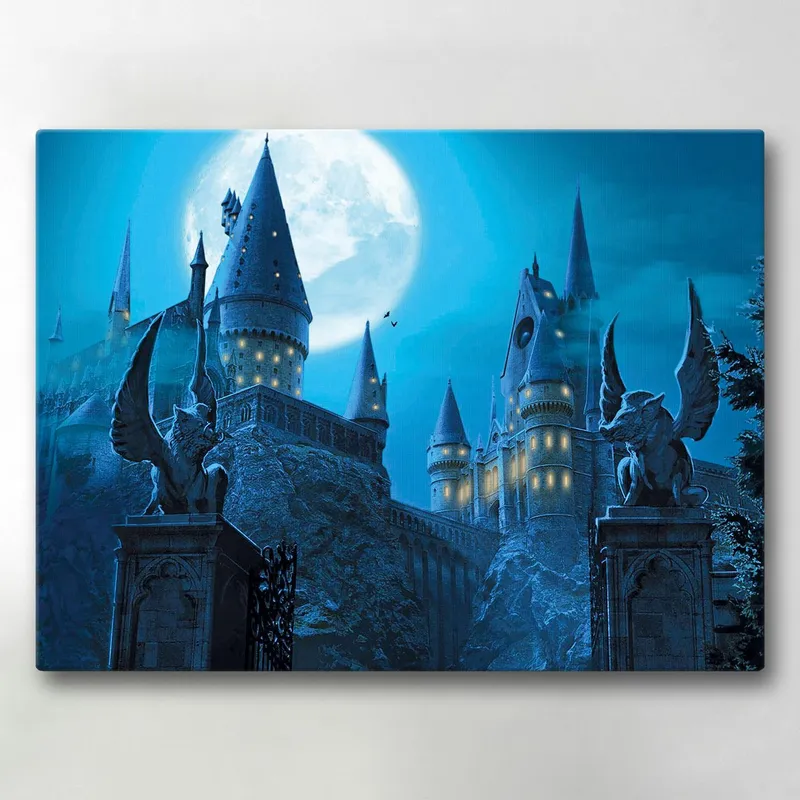 Canvastavla / Tavla – Harry Potter – 40×30 cm – Canvas