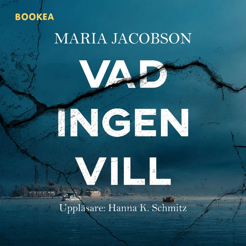 Vad ingen vill, Ljudbok