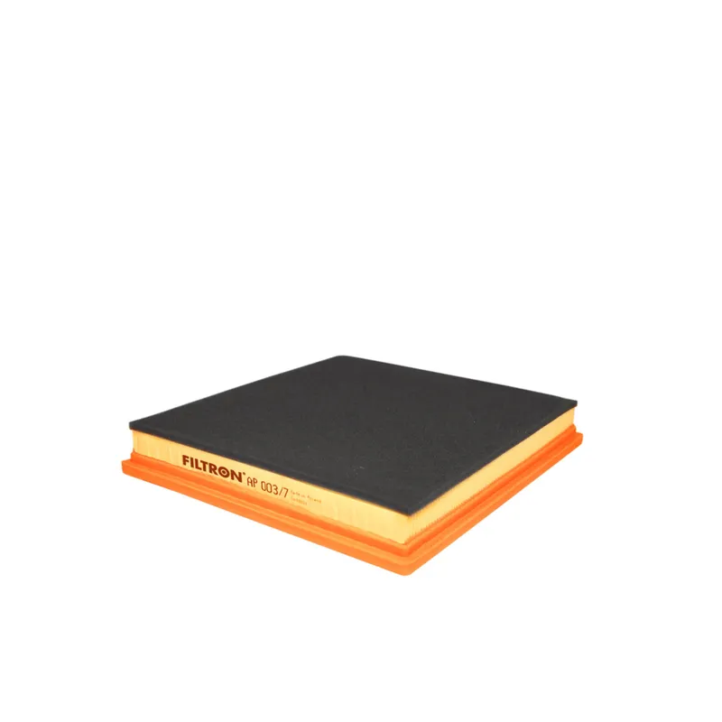 Luftfilter FILTRON AP 003/7