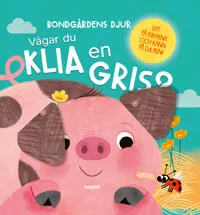 Vågar du klia en gris?