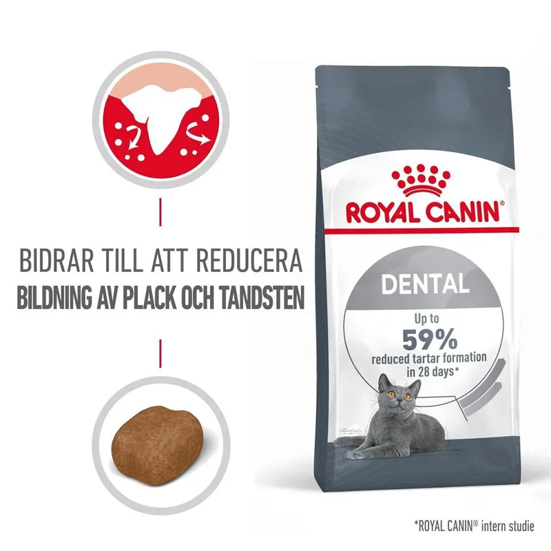 Royal Canin Dental Care Torrfoder till Katt
