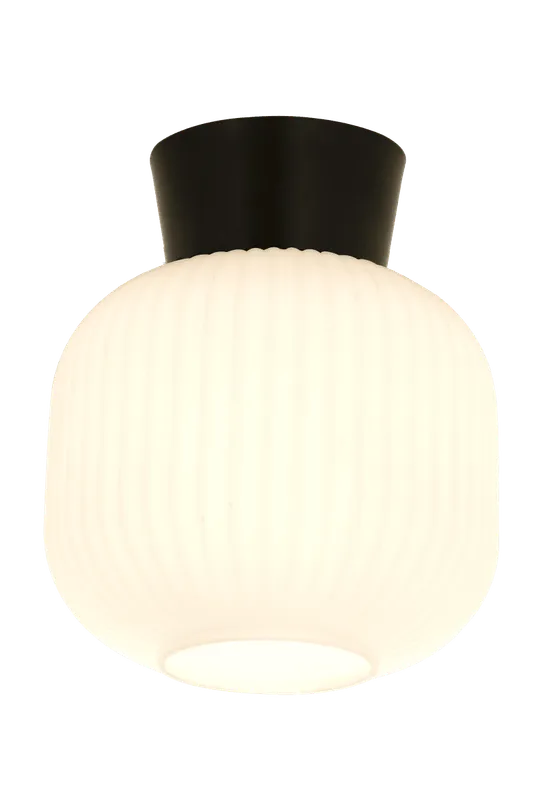 Aneta Lighting – Vanja Ø20 – Takplafond – Svart/Vit