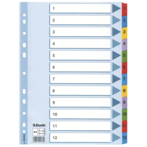 Esselte Register Mylar A4/1-12 multifärgat