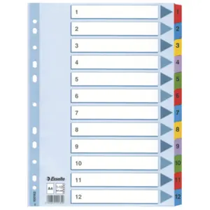 Esselte Register Mylar A4/1-12 multifärgat