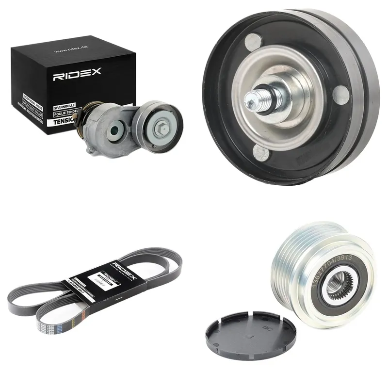 Drivremssats RIDEX 542R0095