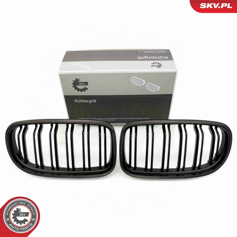 Kylargrill ESEN SKV 66SKV101