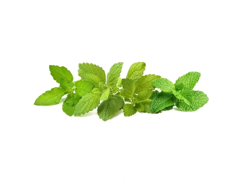 Click & Grow Click and Grow Smart Garden Refill 9-pack Calming