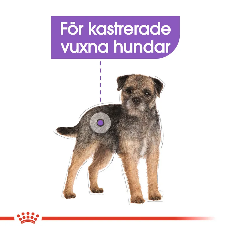 Royal Canin Mini Sterilised Adult Torrfoder till Hund