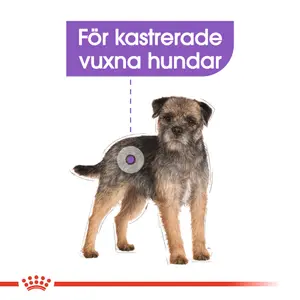 Royal Canin Mini Sterilised Adult Torrfoder till Hund