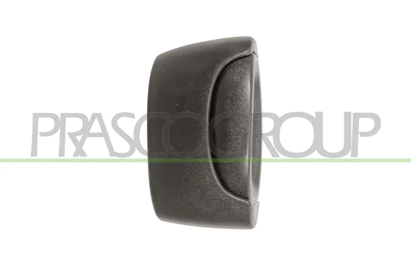 Dörrhandtag PRASCO DS9178102