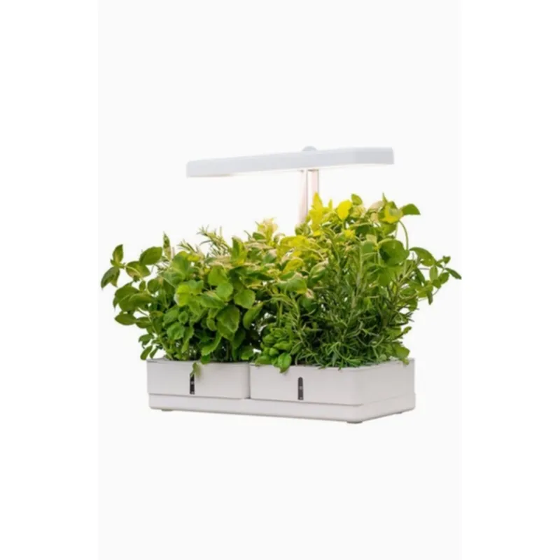 Airam - Växtbelysning Daisy - Växtbelysning - Vit