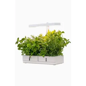 Airam - Växtbelysning Daisy - Växtbelysning - Vit