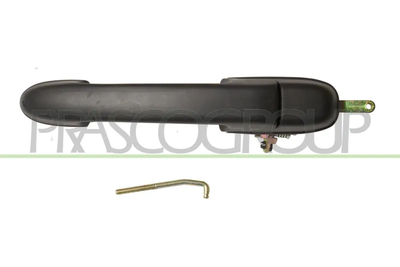 Dörrhandtag PRASCO FT1378101