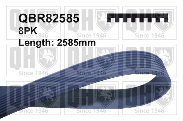 Quinton Hazell QBR82585 Multirem