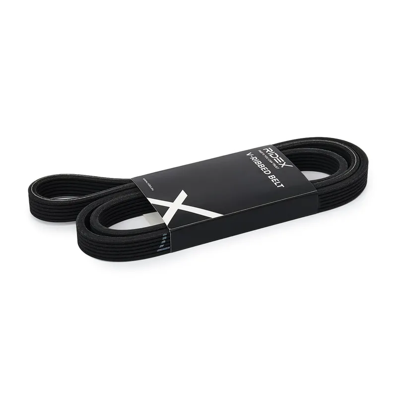 Multirem RIDEX 305P0191