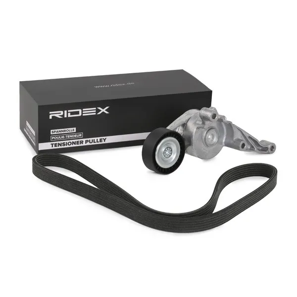 Drivremssats RIDEX 542R0499