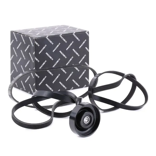 Drivremssats RIDEX 542R0603