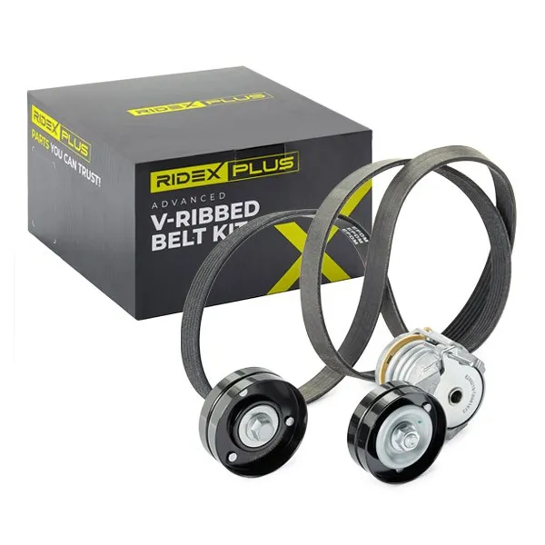 Drivremssats RIDEX PLUS 542R0107P