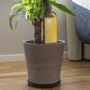 Silverline Insektsfälla Krukväxt Limark 12 st