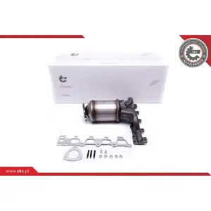 Katalysator ESEN SKV 62SKV014