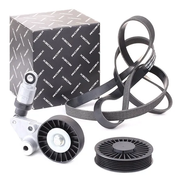 Drivremssats RIDEX 542R0213