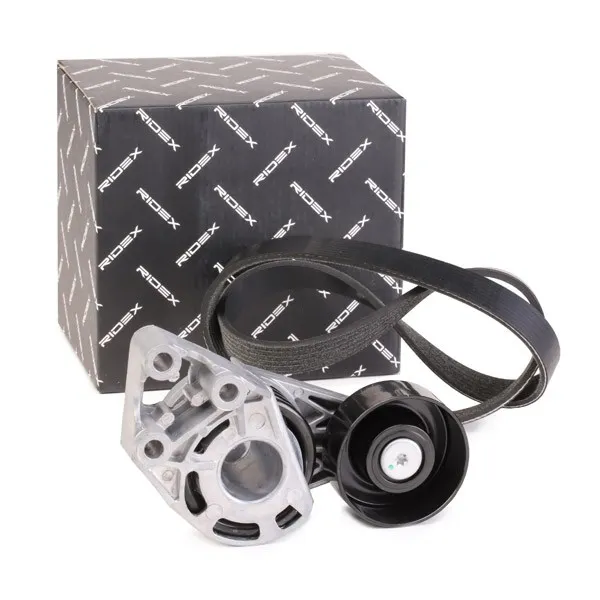 Drivremssats RIDEX 542R0195