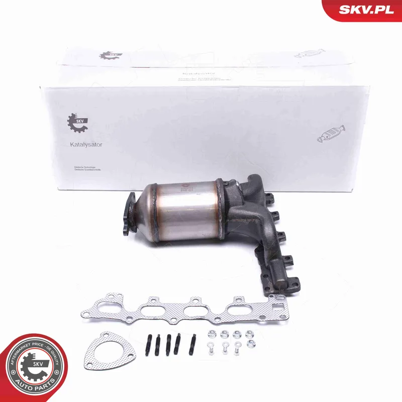 Katalysator ESEN SKV 62SKV002