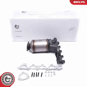 Katalysator ESEN SKV 62SKV002