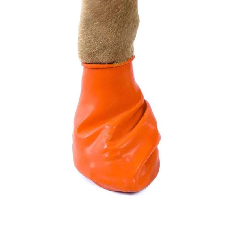 PawZ Pawz hundskor, XS, 5,1 cm, orange 12 st