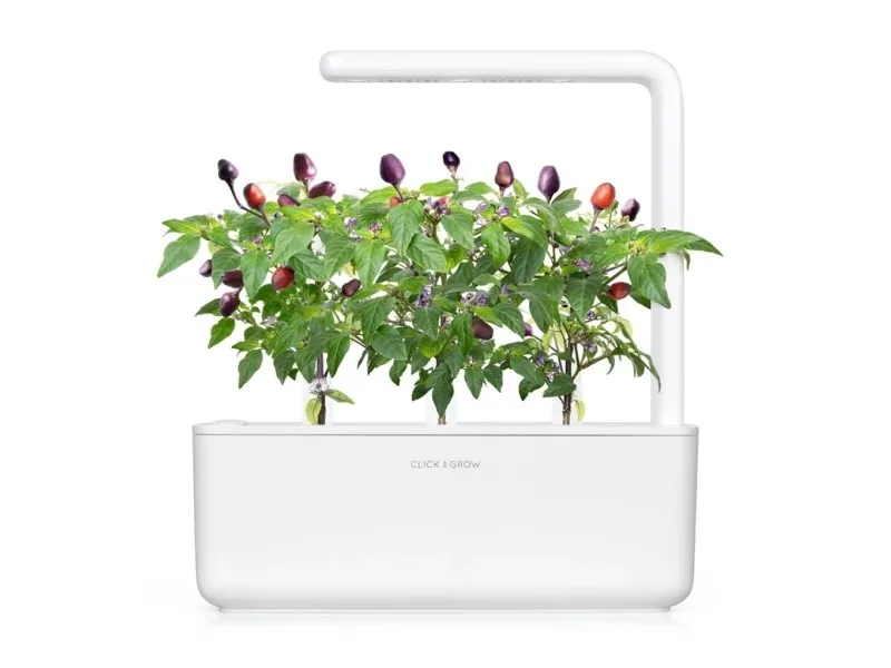 Click And Grow Smart Garden Refill 9-pack - Purple Chili Pepper