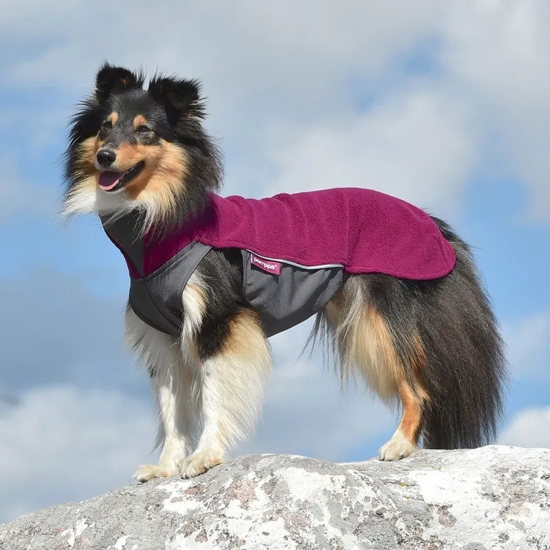 Pomppa Jumppa Fleecetäcke för Hund - 28 / Plum