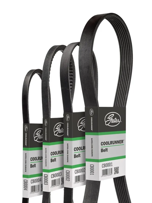 Multirem GATES CB0002