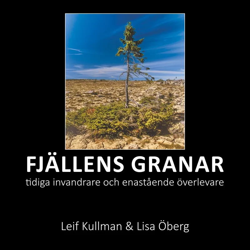 Fjällens granar: tidiga invandrare och enastående överlevare, E-bok