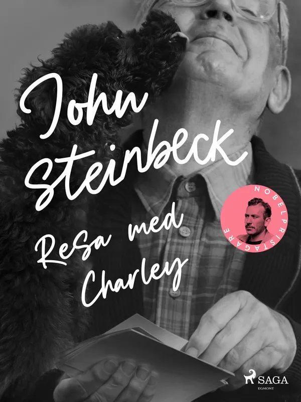 Resa med Charley, E-bok