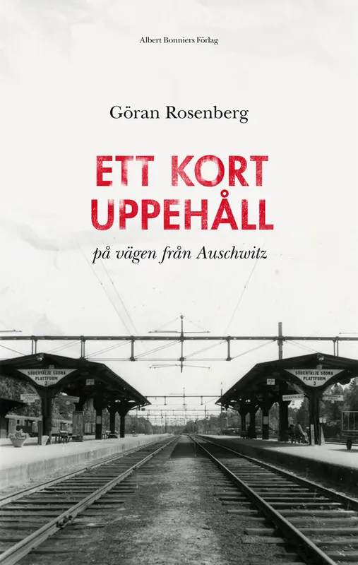 Ett kort uppehåll på vägen från Auschwitz, E-bok