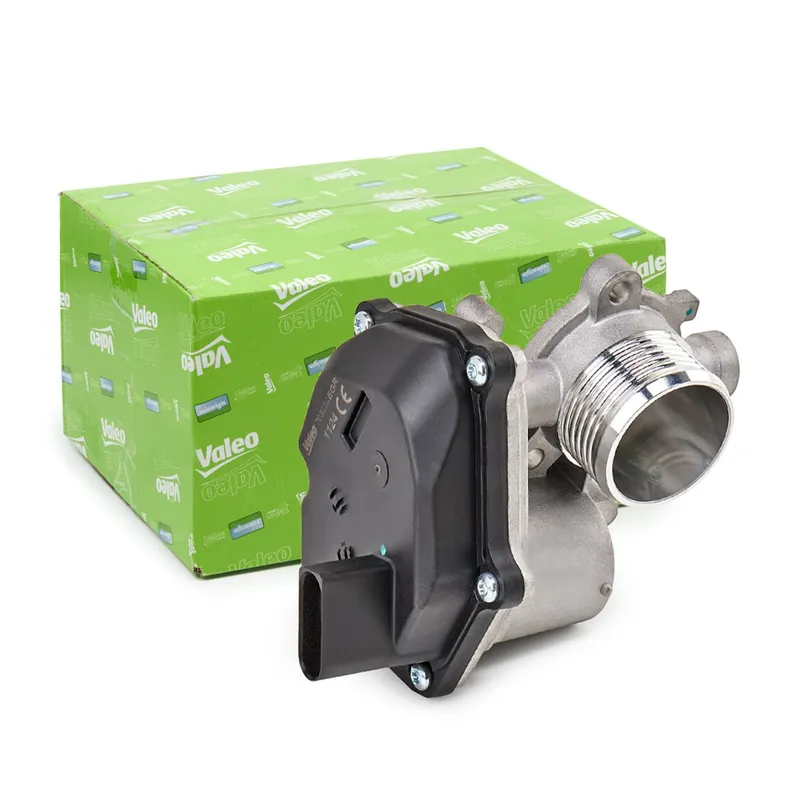 EGR-ventil VALEO 703202