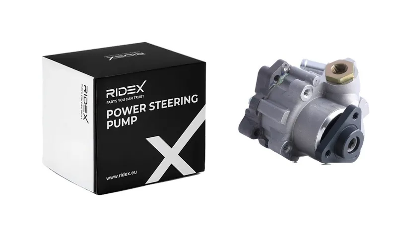 Servopump RIDEX 12H0281
