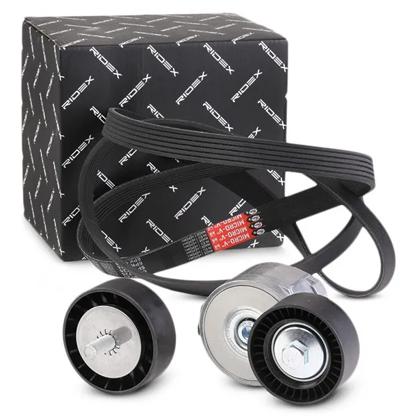 Drivremssats RIDEX 542R0600